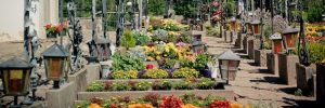visitantes-del-cementerio